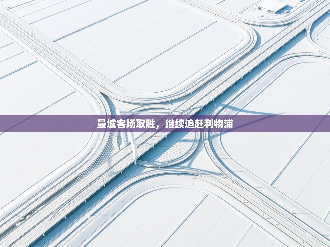 曼城客场取胜,继续追赶利物浦 第1张