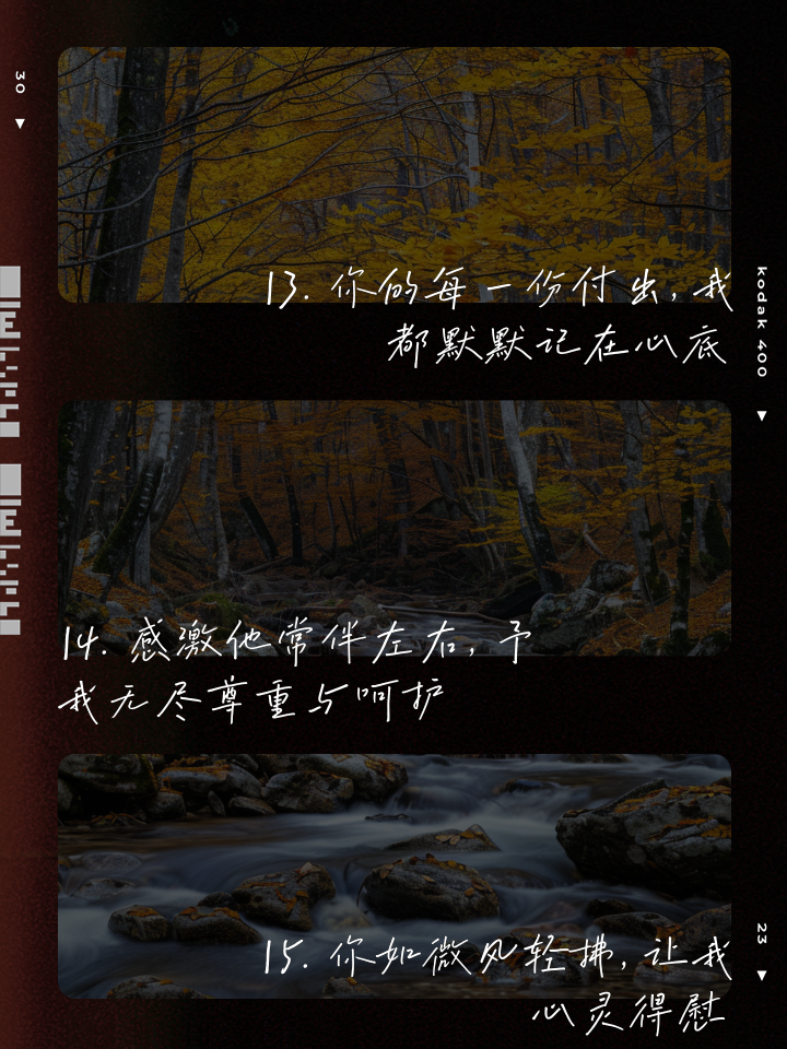 包含硬是茁壮！质胜业余，赢得尊重的词条