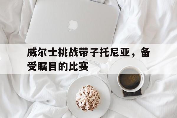 九游体育官方登录入口-威尔士挑战带子托尼亚，备受瞩目的比赛的简单介绍